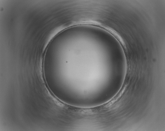 X0000051251006200506171131