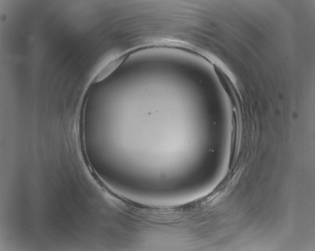 X0000051251007200506171131