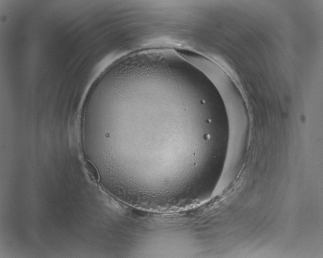 X0000051251008200506171131