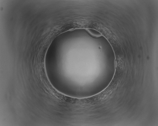 X0000051251009200506171130