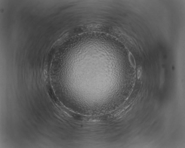 X0000051251011200506171130