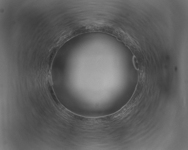 X0000051251012200506171130