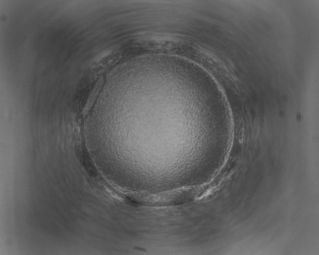 X0000051251013200506171130