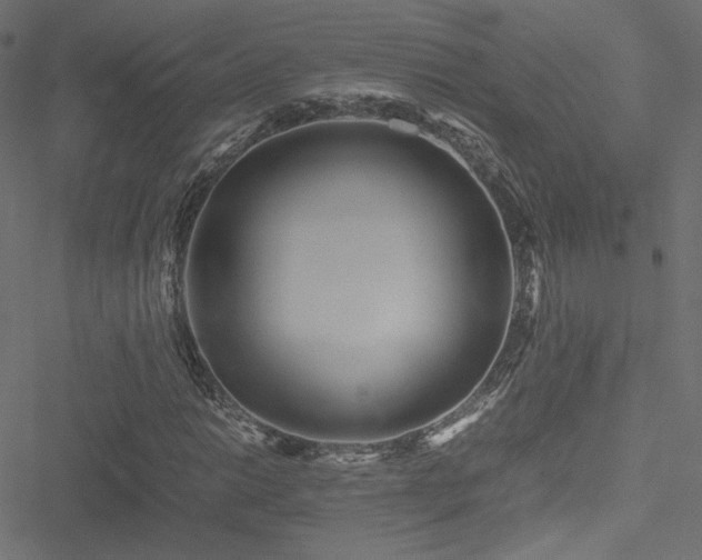 X0000051251014200506171130