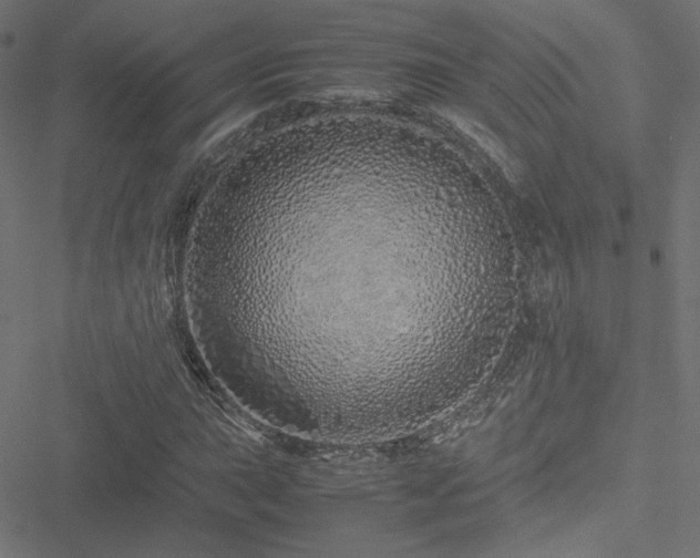 X0000051251015200506171130