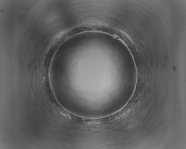 X0000051251016200506171130