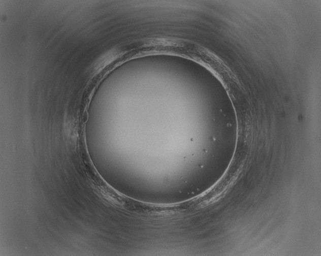 X0000051251017200506171130