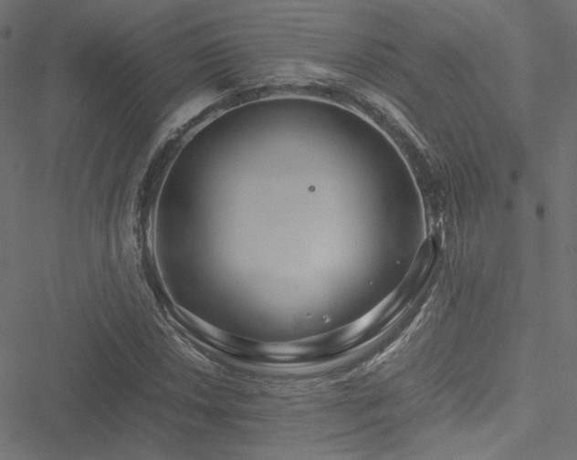 X0000051251018200506171130