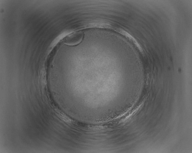 X0000051251019200506171130