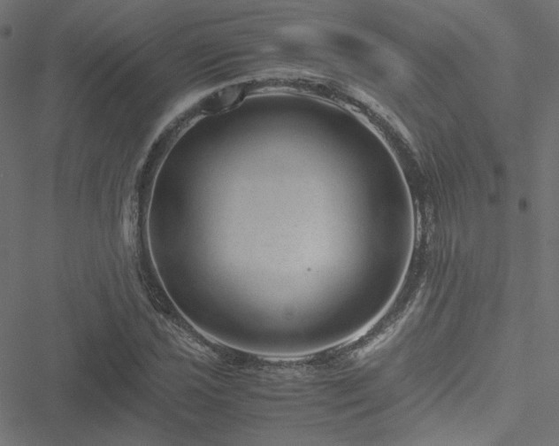 X0000051251021200506171130