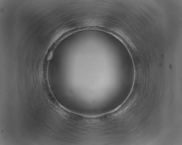 X0000051251023200506171130