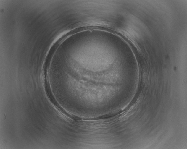 X0000051251024200506171130