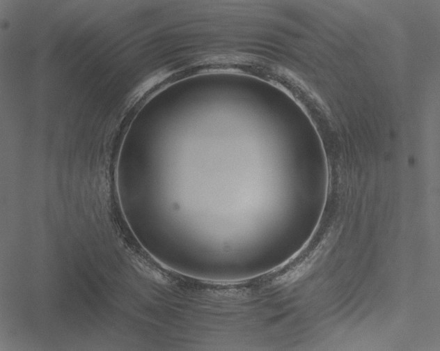 X0000051251025200506171130