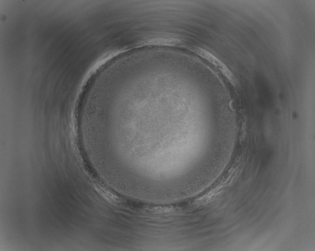 X0000051251027200506171130