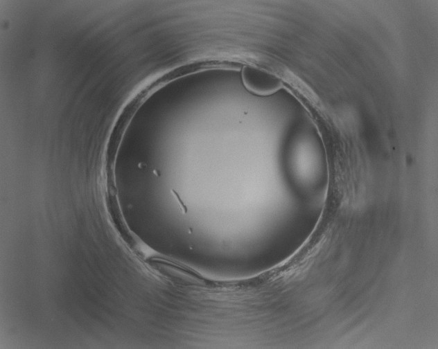 X0000051251028200506171130