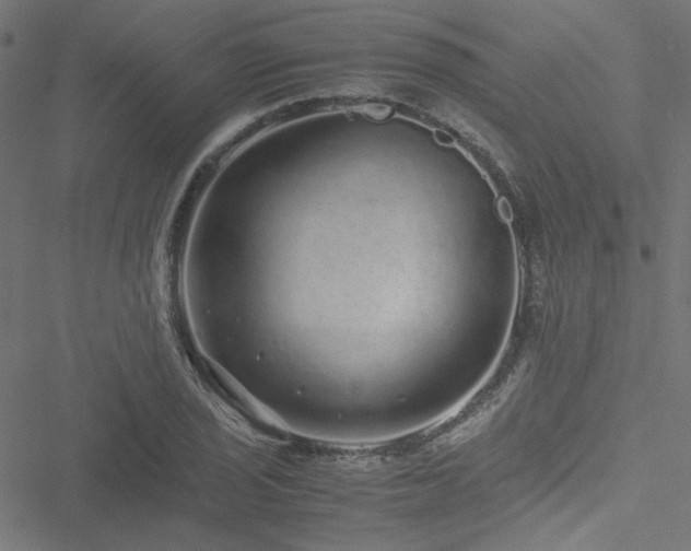 X0000051251029200506171130