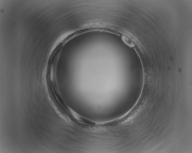 X0000051251030200506171130