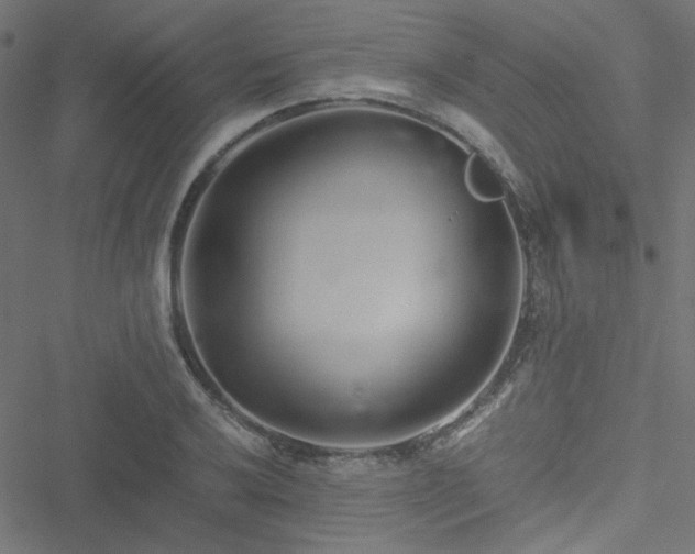 X0000051251032200506171130