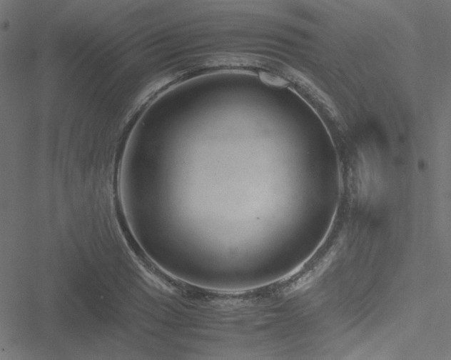 X0000051251033200506171130