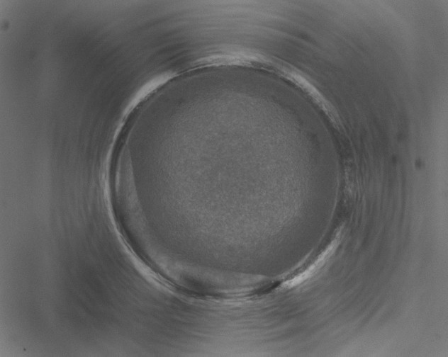 X0000051251034200506171130