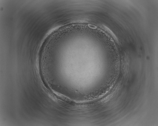 X0000051251035200506171130