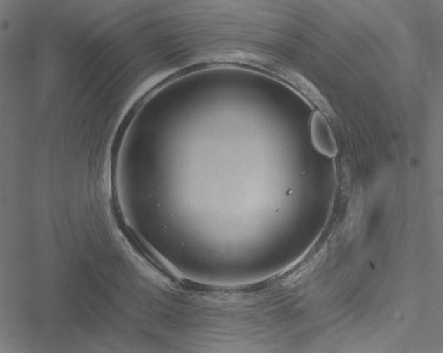 X0000051251036200506171130