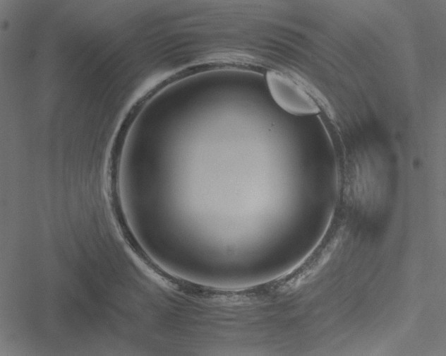 X0000051251037200506171130