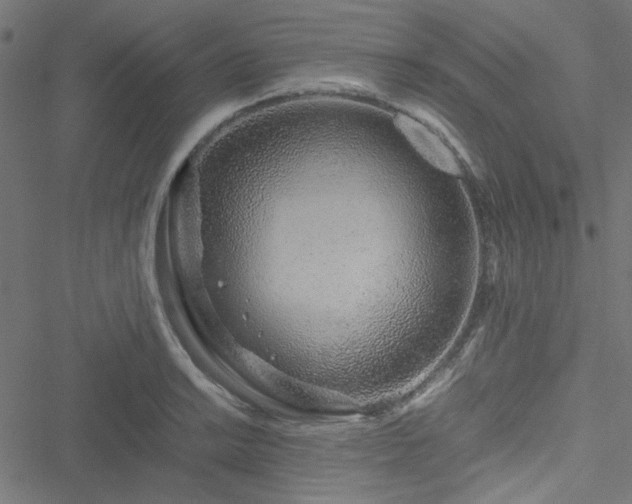 X0000051251038200506171130