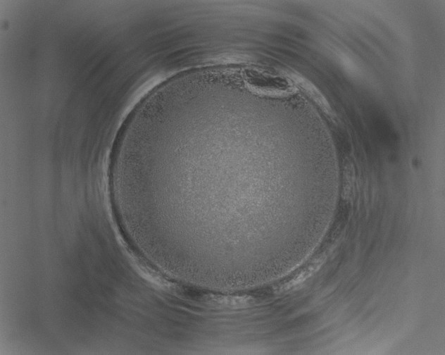 X0000051251039200506171130