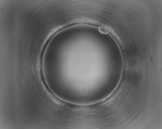 X0000051251040200506171130