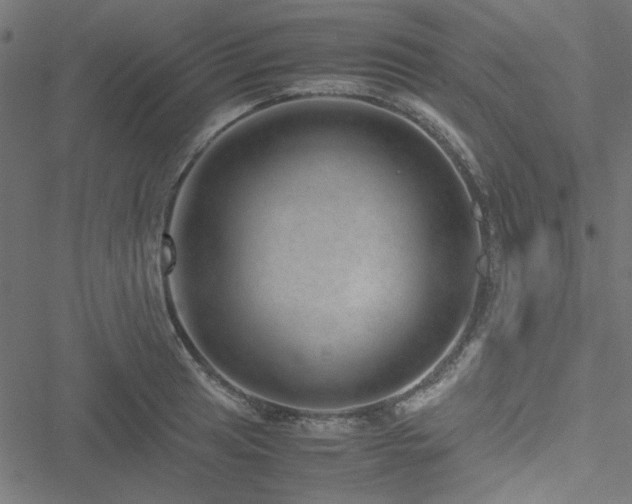 X0000051251041200506171130