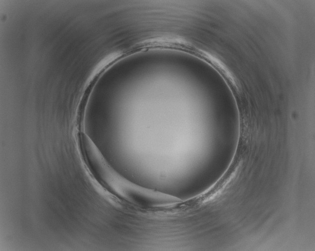 X0000051251042200506171130