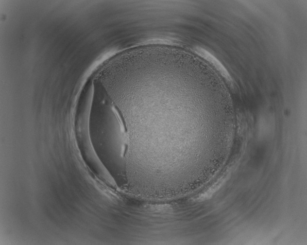 X0000051251043200506171131