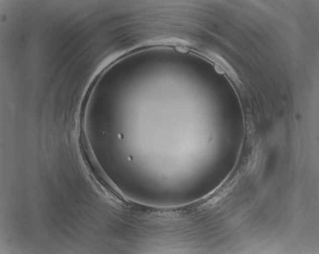 X0000051251044200506171131