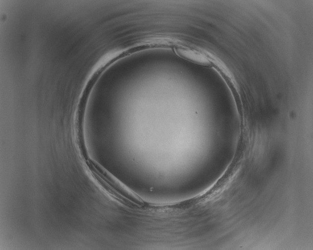 X0000051251045200506171131