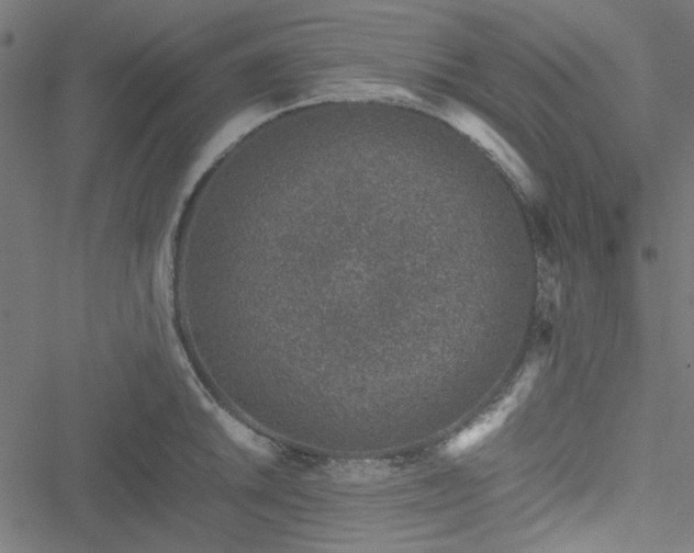 X0000051251046200506171131