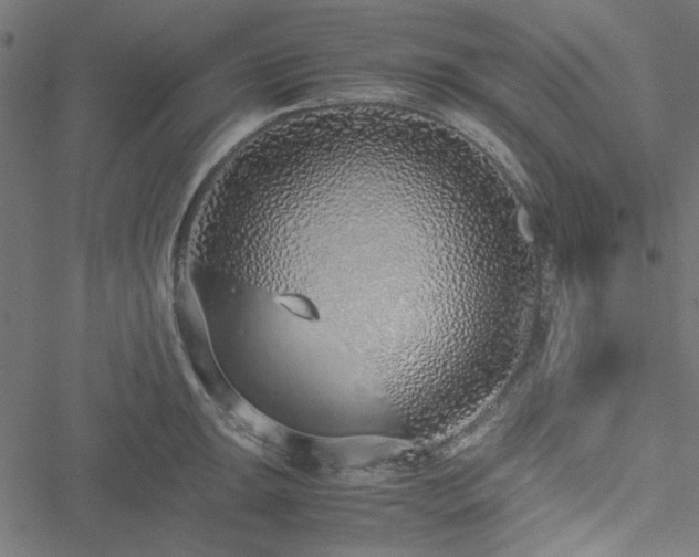 X0000051251047200506171131