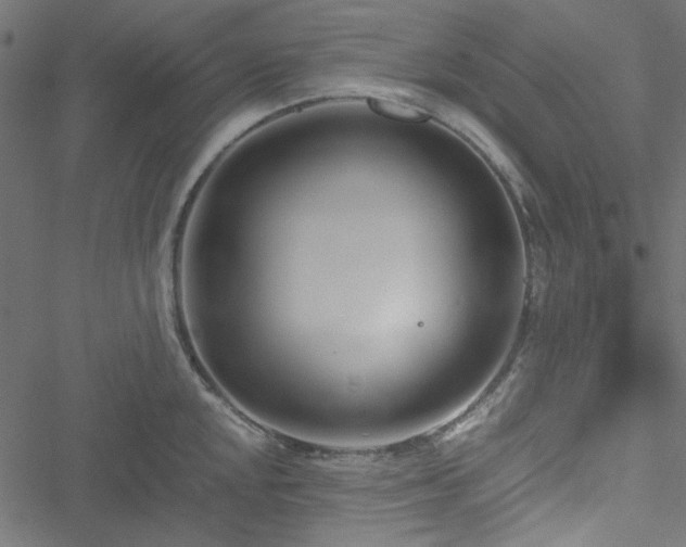 X0000051251048200506171131