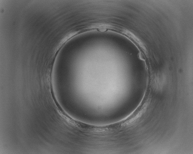 X0000051251049200506171131