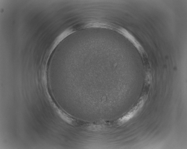 X0000051251050200506171131