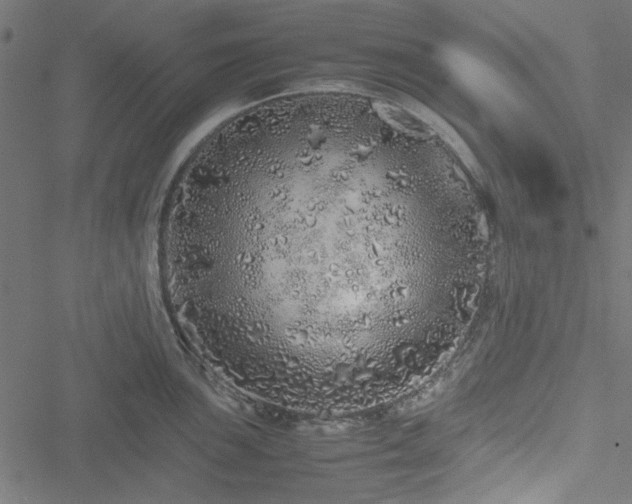 X0000051251051200506171131