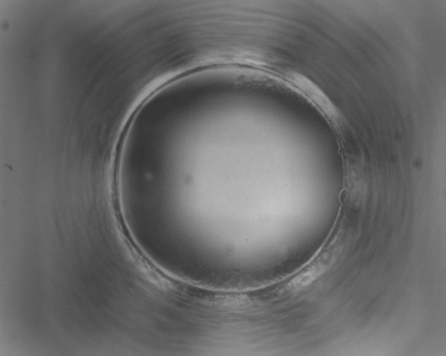 X0000051251052200506171131