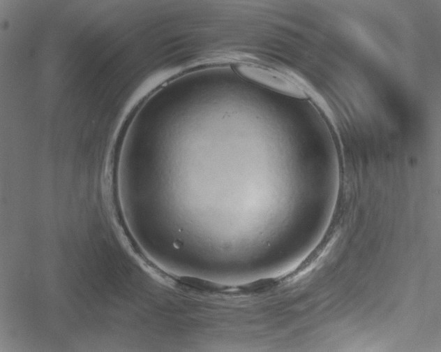 X0000051251053200506171131