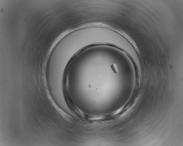 X0000051251054200506171131