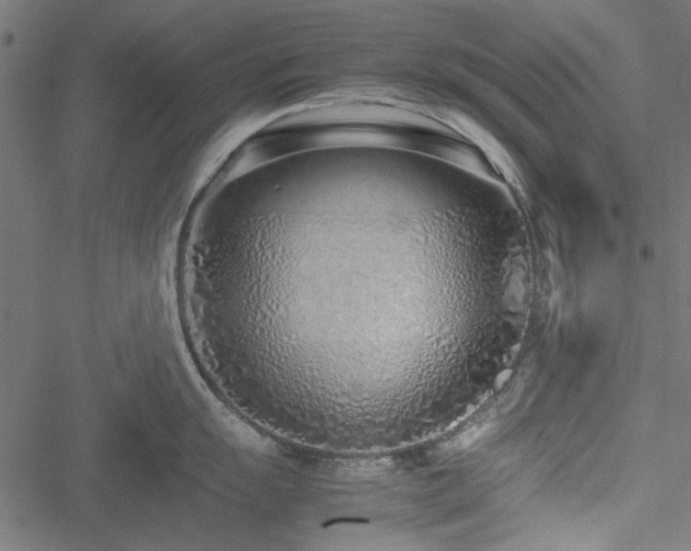 X0000051251055200506171131