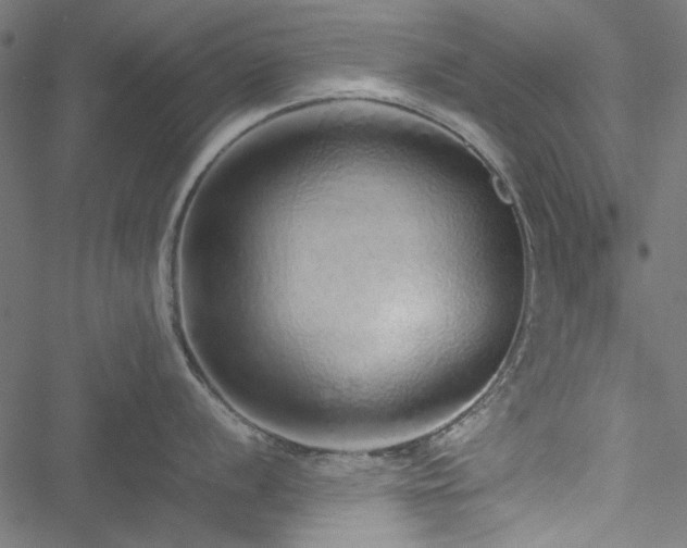 X0000051251056200506171131