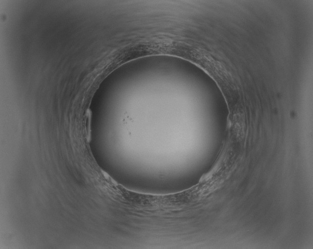 X0000051251057200506171130