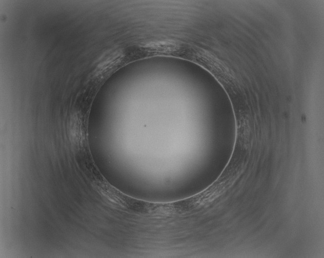 X0000051251058200506171130