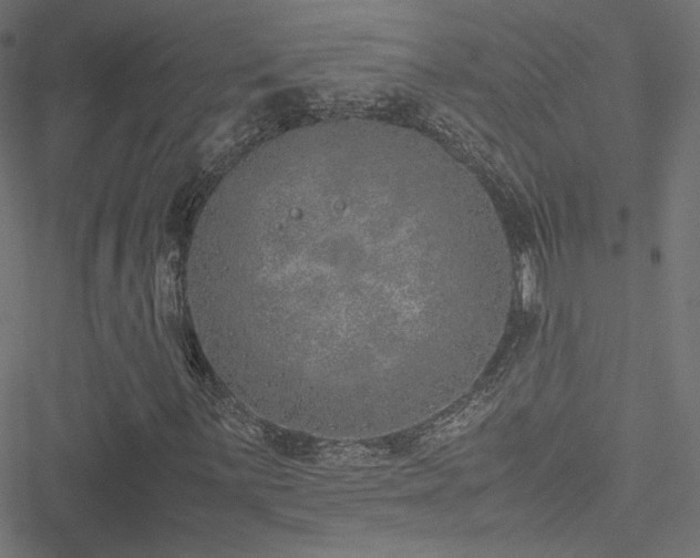 X0000051251059200506171130