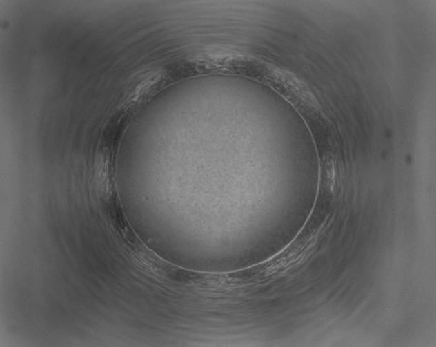 X0000051251060200506171130